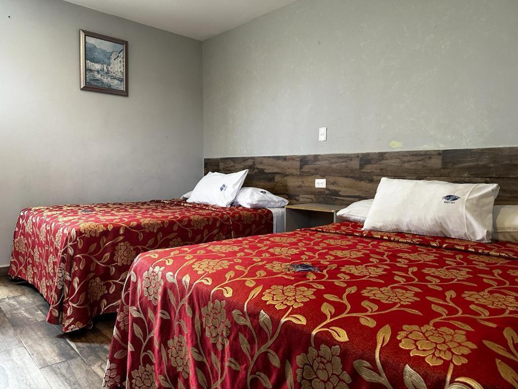 Hotel Teresita Пуебла Екстериор снимка